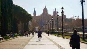 Paseo barcelonés, funciones del administrador de una sociedad limitada, tema clave para MiempresaYA.