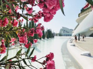 Emprender en Valencia sin errores es posible con MiempresaYA junto al moderno complejo arquitectónico de la Ciudad de las Artes